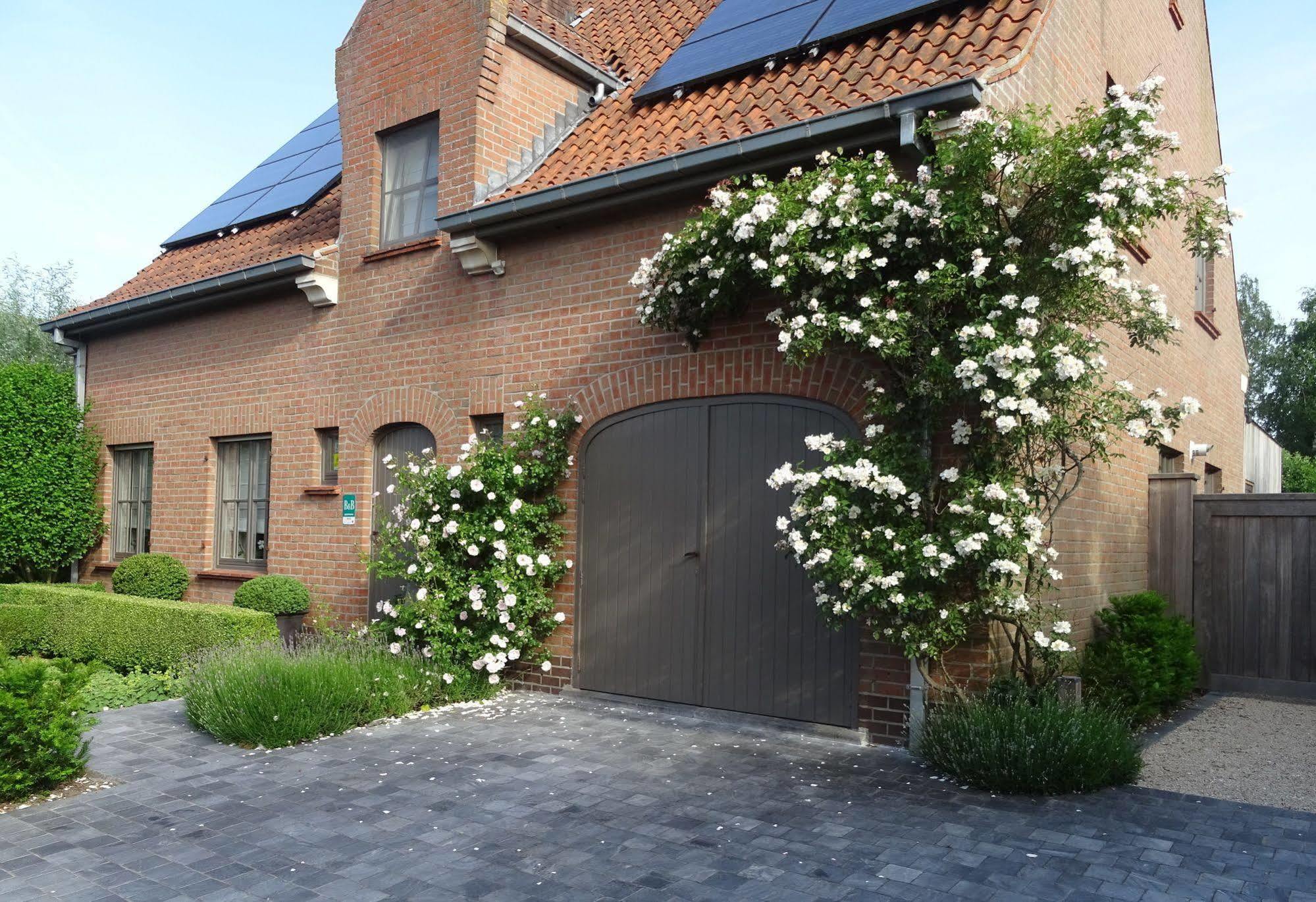 B&B De Passant Jabbeke  Buitenkant foto